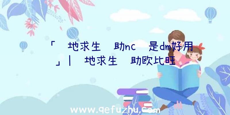 「绝地求生辅助nc还是dm好用」|绝地求生辅助欧比旺